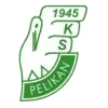 帕利坎